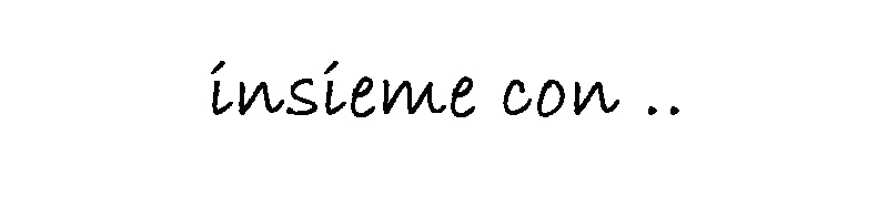 B_INSIEME CON_4.jpg